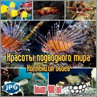 Красоты подводного мира — Коллекция обоев / Beauty of the underwater world — Wallpaper Collection