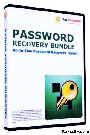 Password Recovery Bundle 2013 Enterprise Edition v.3.0 DC 29.06.2013(2013/Eng)